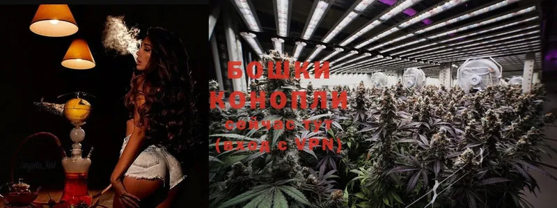 Бошки марихуана Ganja  дарк нет телеграм  Жердевка 